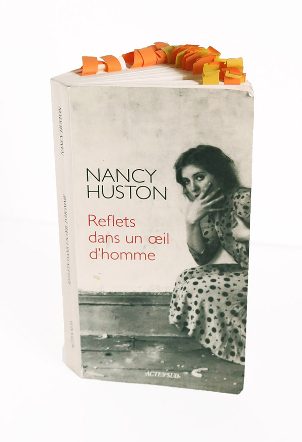 Bruno Paccard - Nancy Huston - Reflets, dans un oeil d'homme