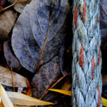 EXPO PHOTOS : VOYAGE AUTOUR DU WABI-SABI