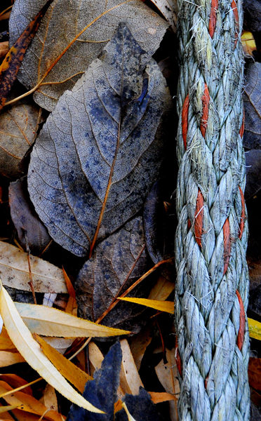 EXPO PHOTOS : VOYAGE AUTOUR DU WABI-SABI