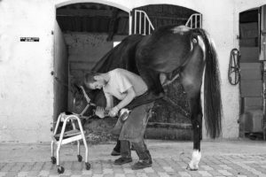 Bruno Paccard - Projet REVERSE ou la maîtrise du Savoir Faire