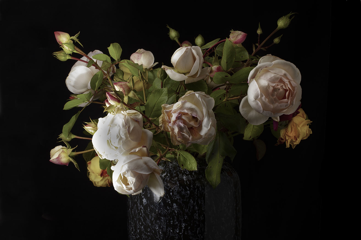 bruno paccard - artfair 2026 : le bouquet de roses